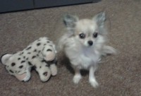 /album/nasi-pacienti/a2012-12-14-07-44-51-jpg/